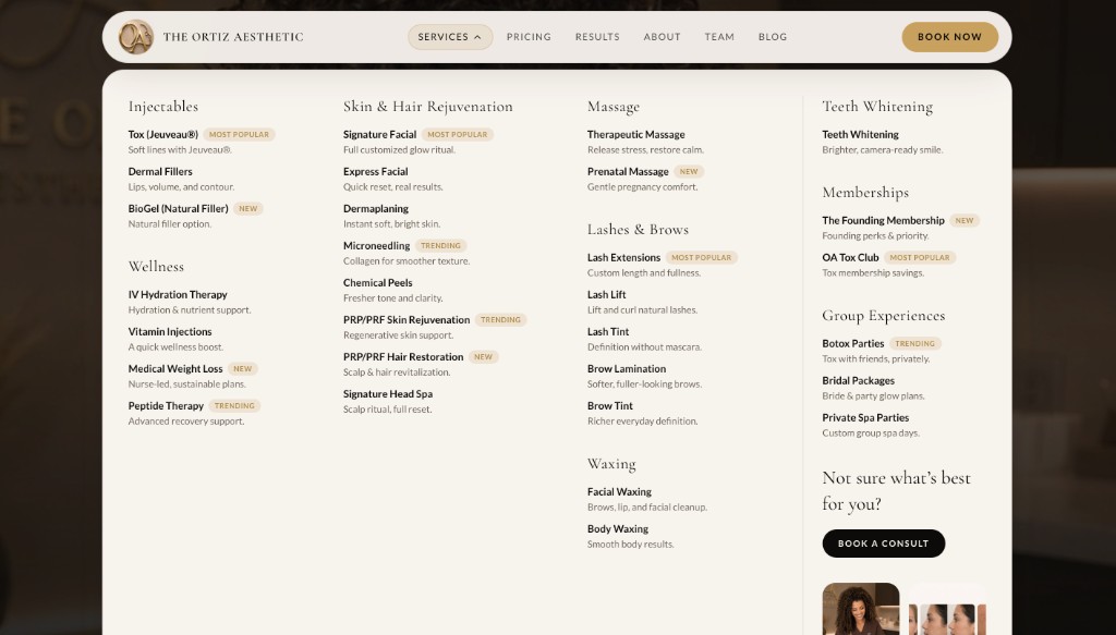 The Ortiz Aesthetic website screenshot 2